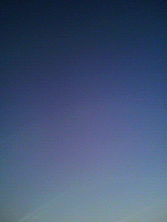 形態_f0082794_158577.jpg