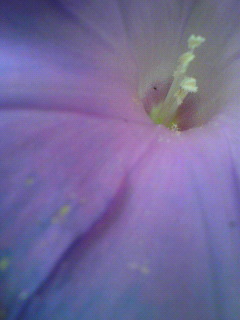 悪受け_f0082794_16205255.jpg
