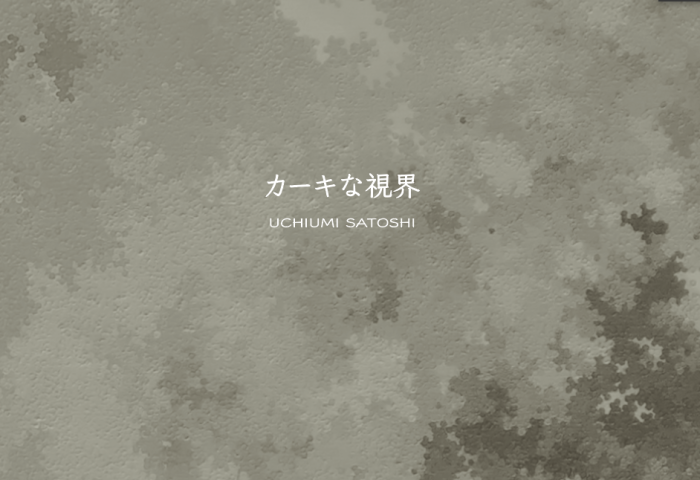 カーキな視界／khaki vision 内海聖史個展_f0082794_16441989.png