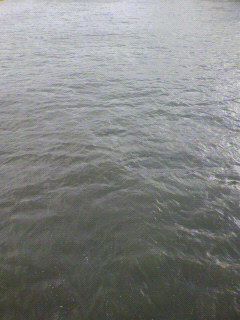 水_f0082794_16464321.jpg