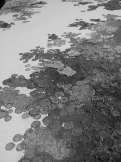 時間軸_f0082794_16513622.jpg