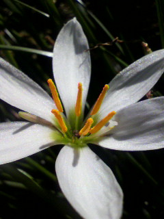 最新_f0082794_16525935.jpg