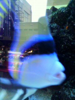 最初_f0082794_1656620.jpg
