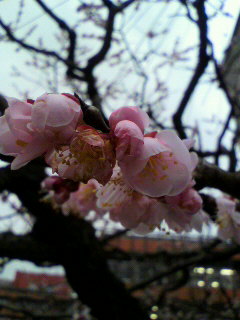 つーー_f0082794_1705296.jpg