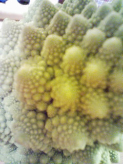 ホネホネ_f0082794_17174711.jpg