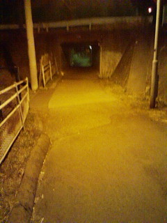つぎ_f0082794_172346.jpg