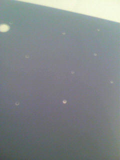 金冠_f0082794_17312268.jpg