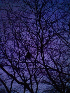 安定体_f0082794_17312282.jpg