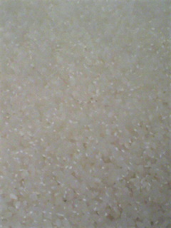 コメコメ_f0082794_173546.jpg
