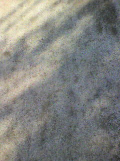 参_f0082794_1745357.jpg