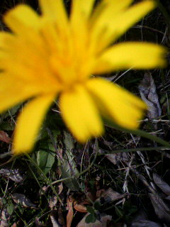 外れ_f0082794_17465657.jpg