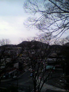 カイキの終了_f0082794_17494357.jpg