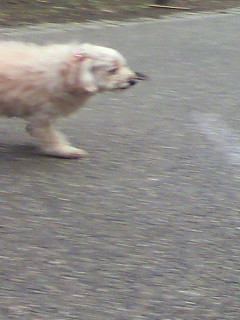 やれ_f0082794_17505639.jpg
