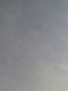 あにゅ_f0082794_175098.jpg