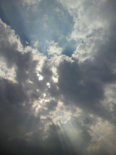 イージー_f0082794_1751880.jpg