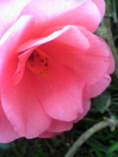 ５往復_f0082794_1818123.jpg