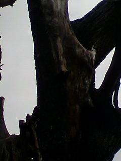 敏感_f0082794_1818423.jpg