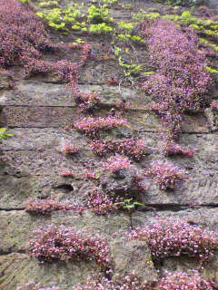 ２００００_f0082794_18204465.jpg