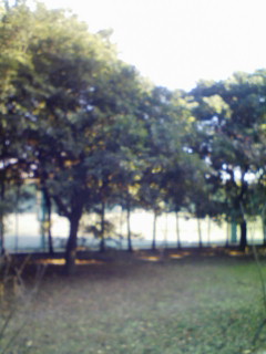 発生_f0082794_18394936.jpg