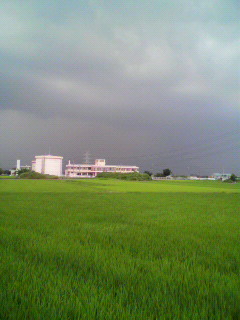 流れ_f0082794_185448.jpg