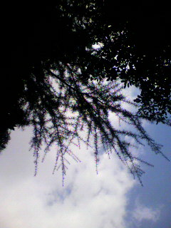 はま_f0082794_19432152.jpg