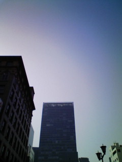 w_f0082794_19472252.jpg
