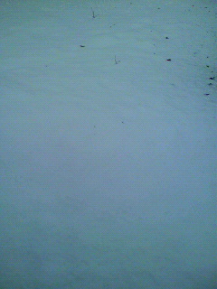 庭かけ回る_f0082794_1950121.jpg