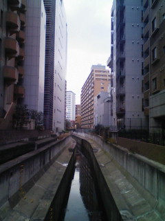 ラッセル_f0082794_1952331.jpg