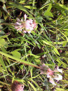 バイアス_f0082794_20102988.jpg