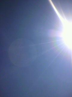 ユキヒョウ_f0082794_2013523.jpg