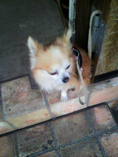 2F番人_f0082794_2026464.jpg