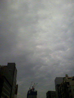 ホワイト_f0082794_20315151.jpg