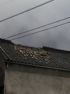 配送_f0082794_20413313.jpg