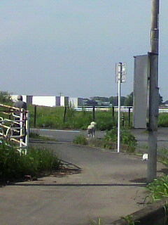 ウェルテル_f0082794_20434953.jpg