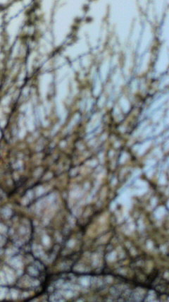 ノー暇_f0082794_2043689.jpg