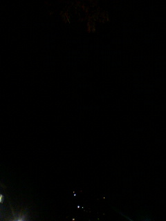 ボイン_f0082794_2045357.jpg