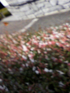 天と地と_f0082794_20461746.jpg