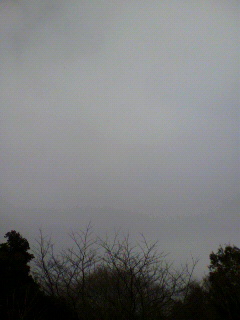 雪切_f0082794_20462871.jpg