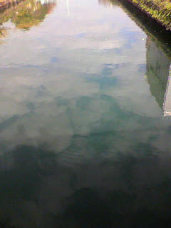 堅持_f0082794_20544331.jpg