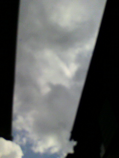 風_f0082794_2061537.jpg