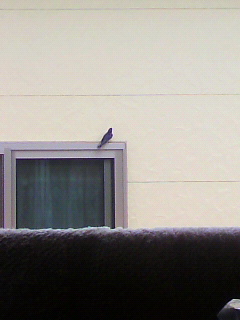ひざし_f0082794_21173718.jpg
