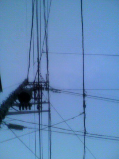 まみくろ_f0082794_21203888.jpg