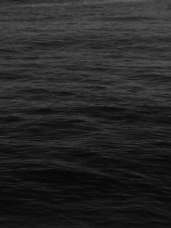 リー_f0082794_2131734.jpg