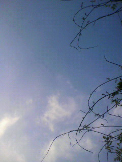 ほし_f0082794_2134239.jpg