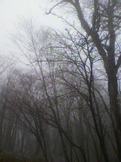 煙−色_f0082794_21375719.jpg