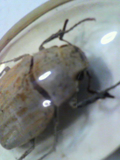 もぞ_f0082794_21415016.jpg