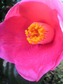 フロント_f0082794_2147752.jpg