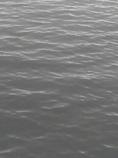 水滴_f0082794_2164864.jpg