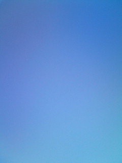 ならねば_f0082794_22171734.jpg