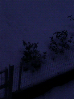 うるうび_f0082794_22181576.jpg